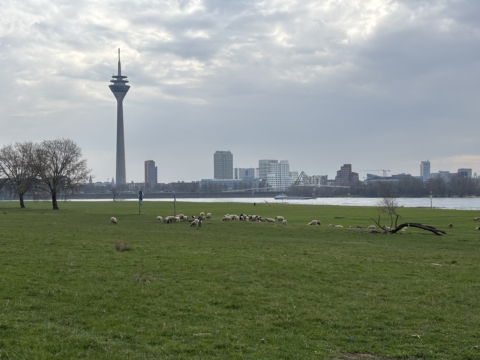 Heiraten im Rheinturm Düsseldorf: Aussicht, QOMO und mein Profi-Blick